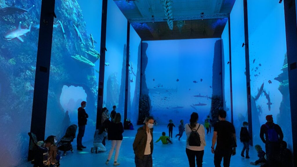The 6 m high aquarium at the Oceanographic Museum in Monaco