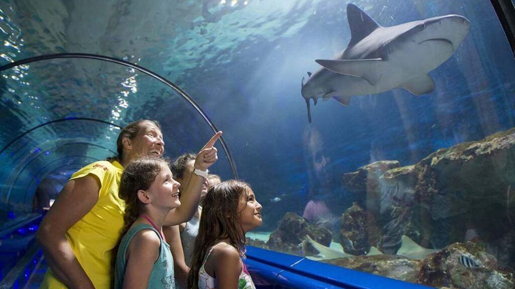 Family in the shark tunnel in Marineland in Antibes