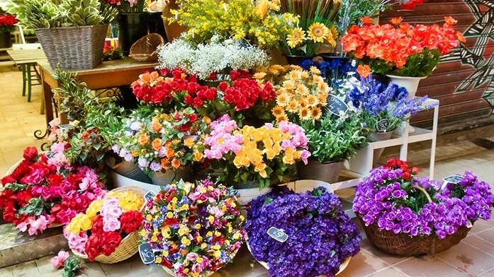 Flowers at Cours Saleya