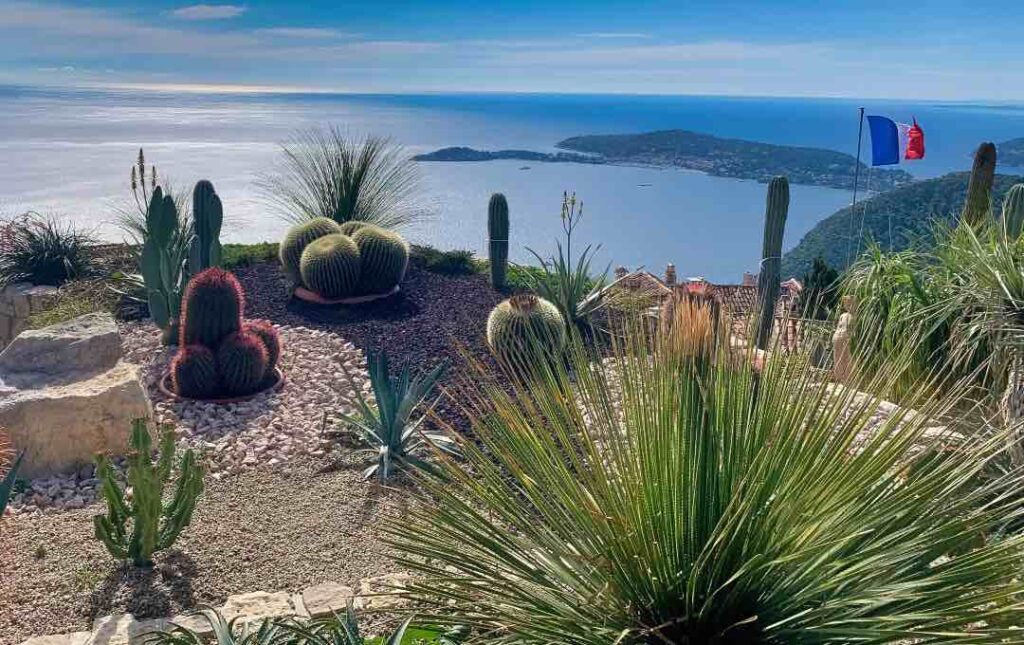 forskellige kaktus planter i Jardin Exotique i Èze og udsigt over middelhavet