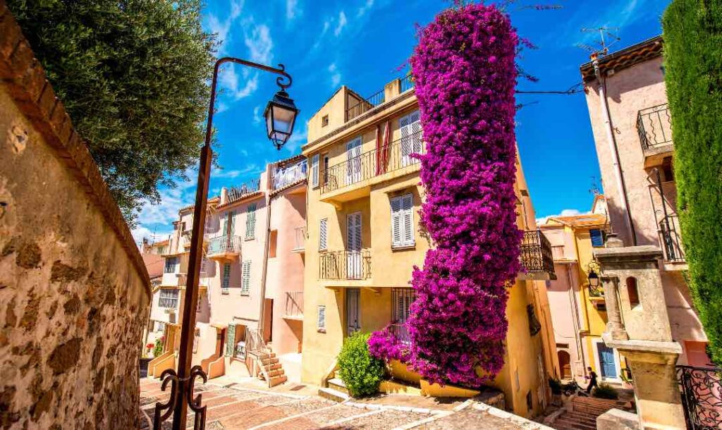  Beautiful streets and houses in "Le Suquet" - Cannes old town