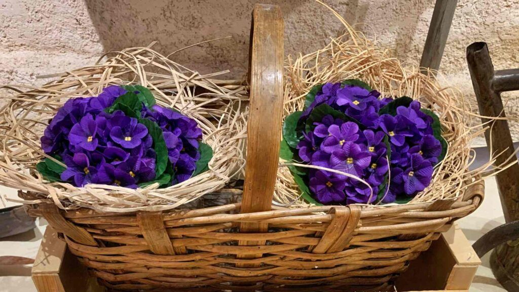 Basket of violettes from the museum 